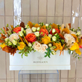 Load image into Gallery viewer, Autumn Sunshine