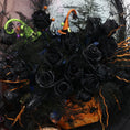 Load image into Gallery viewer, Midnight Fun