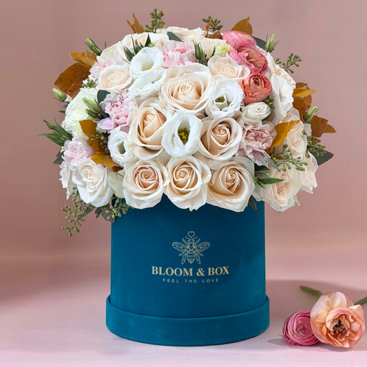 The Blush Harmony Box