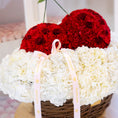 Load image into Gallery viewer, Miss Cherry