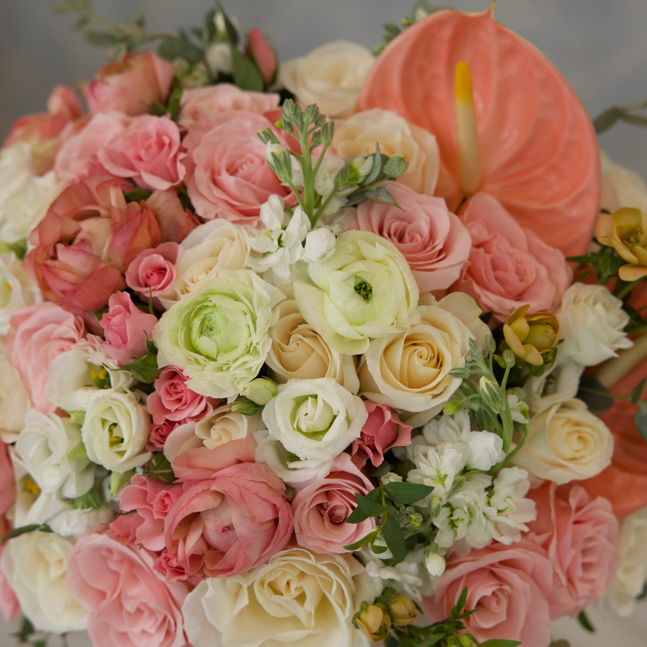 Blush Garden Romance
