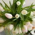Load image into Gallery viewer, Blush Tulip Garden
