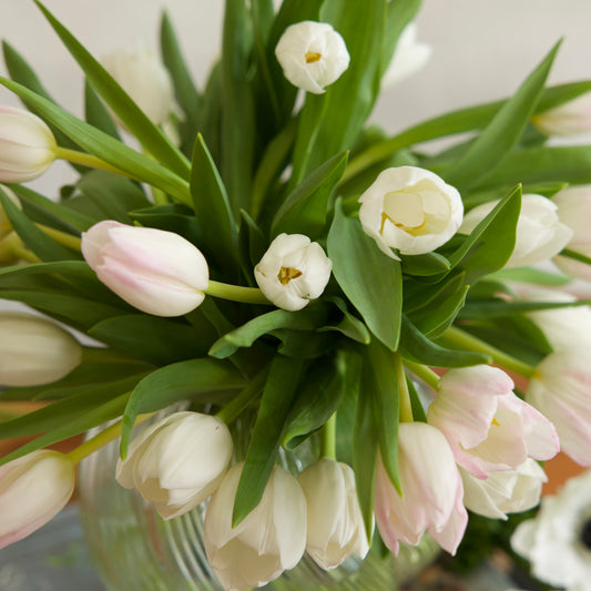 Blush Tulip Garden