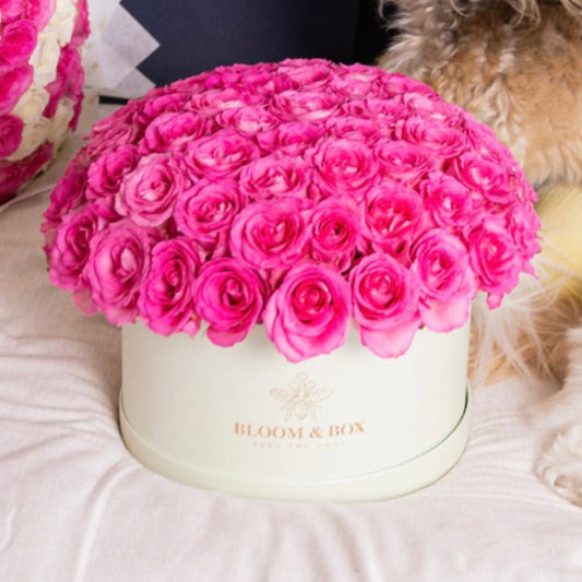 The Rose Dome