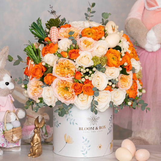 The Carrot Garden Box