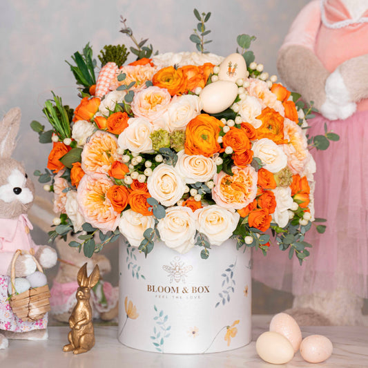 The Carrot Garden Box