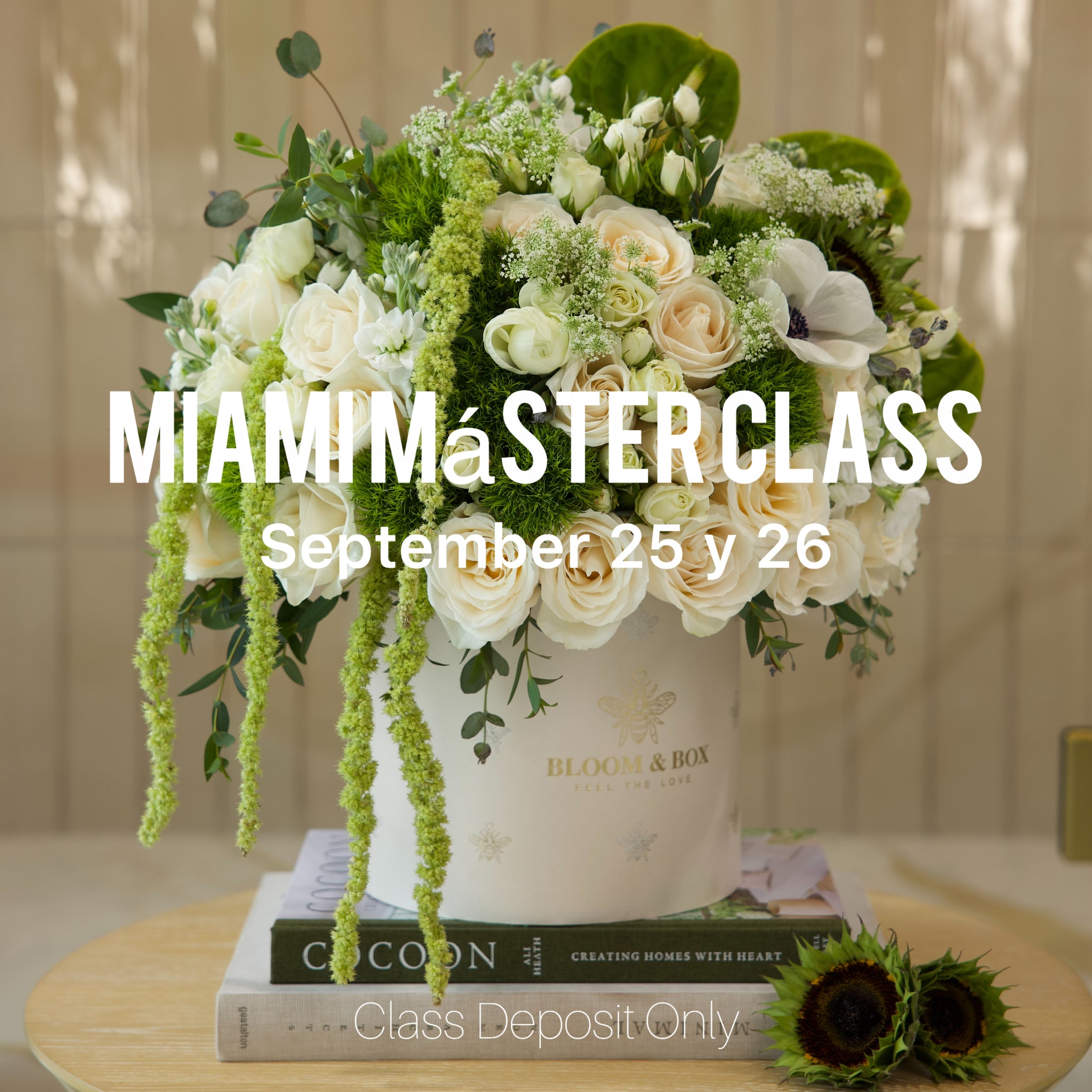 MASTERCLASS MIAMI