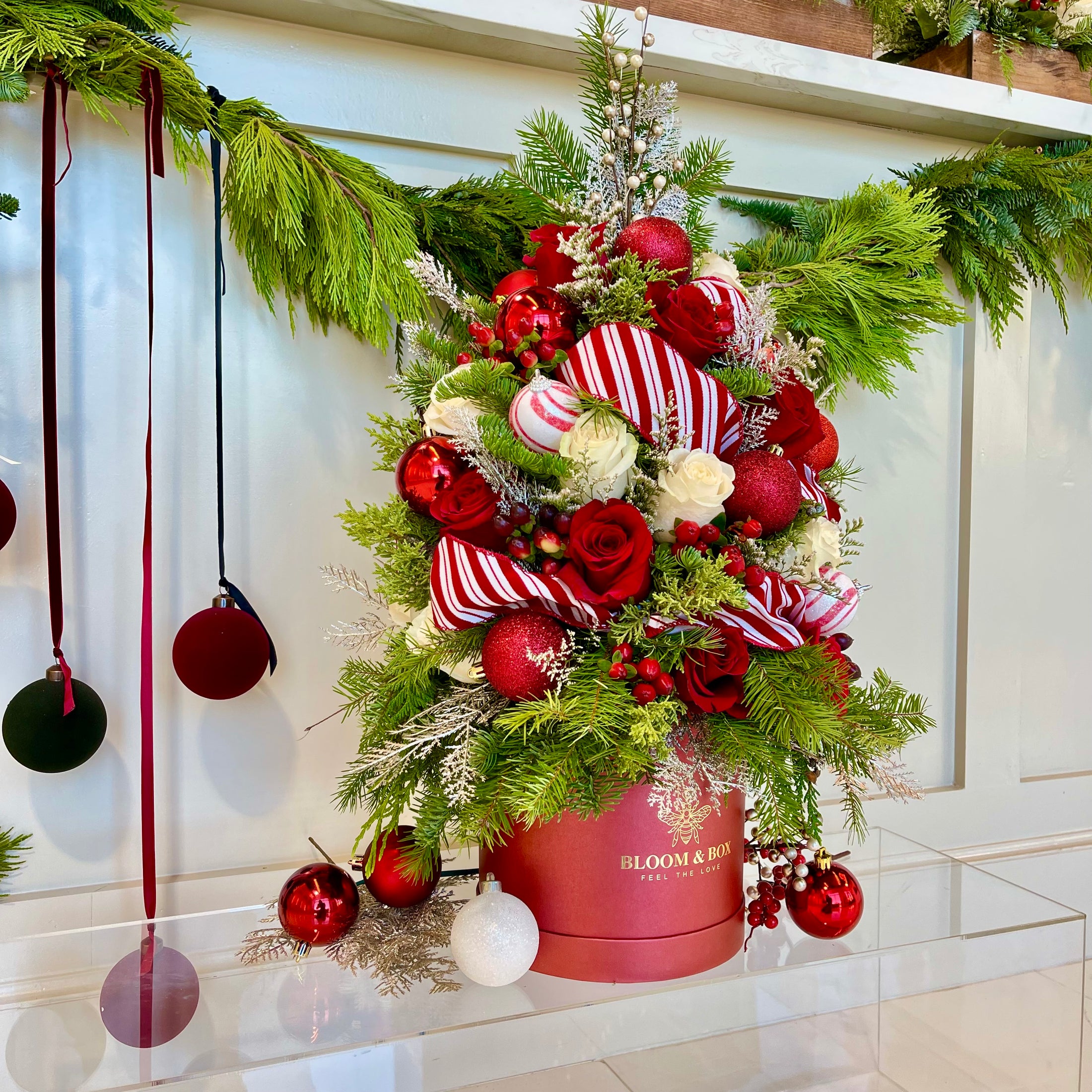 Candy Cane Wonderland