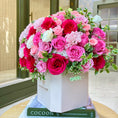 Load image into Gallery viewer, Shades Of Pink
